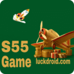 S55 Game